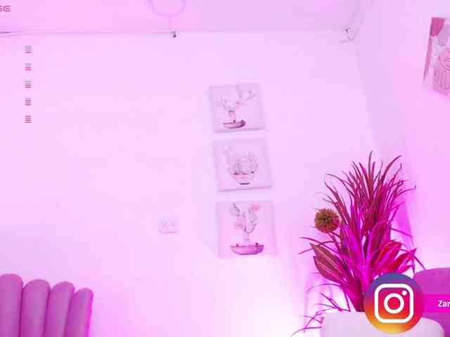 Zaradavis webcam