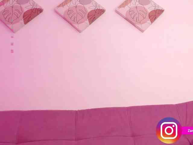Zaradavis webcam