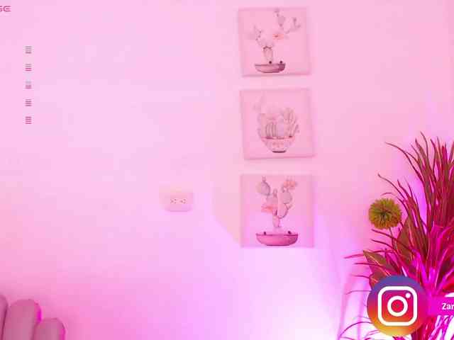 Zaradavis webcam