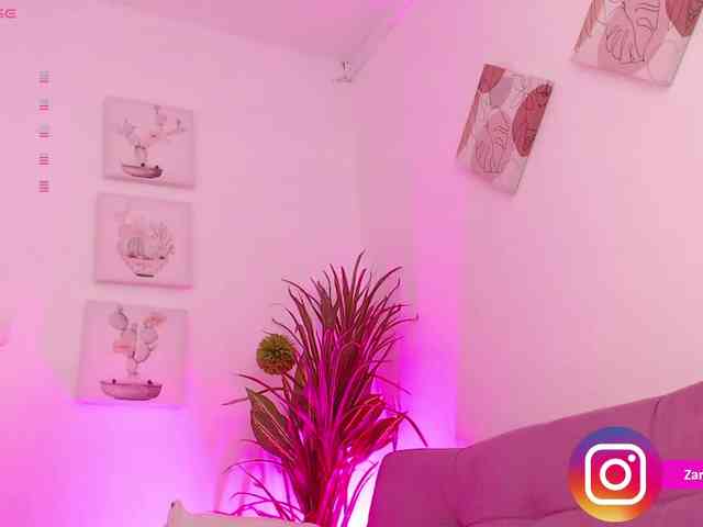 Zaradavis webcam