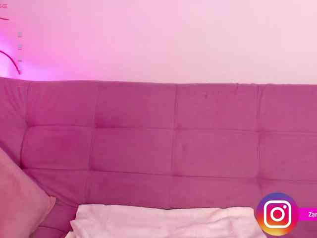 Zaradavis webcam