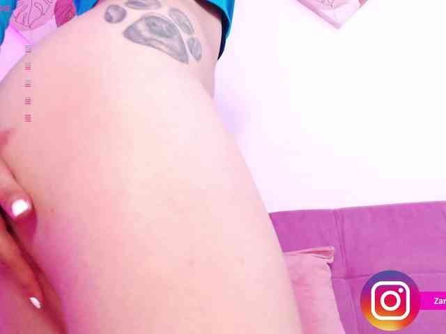 Zaradavis webcam