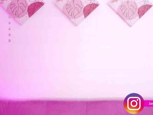 Zaradavis webcam