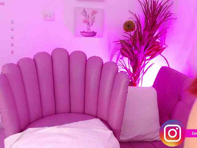 Zaradavis webcam