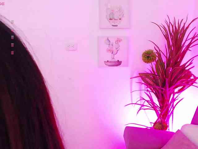 Zaradavis webcam