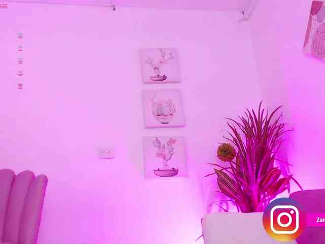 Zaradavis webcam