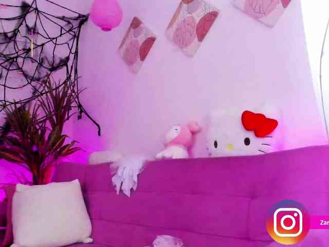 Zaradavis webcam