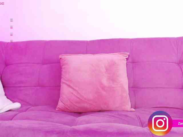 Zaradavis webcam