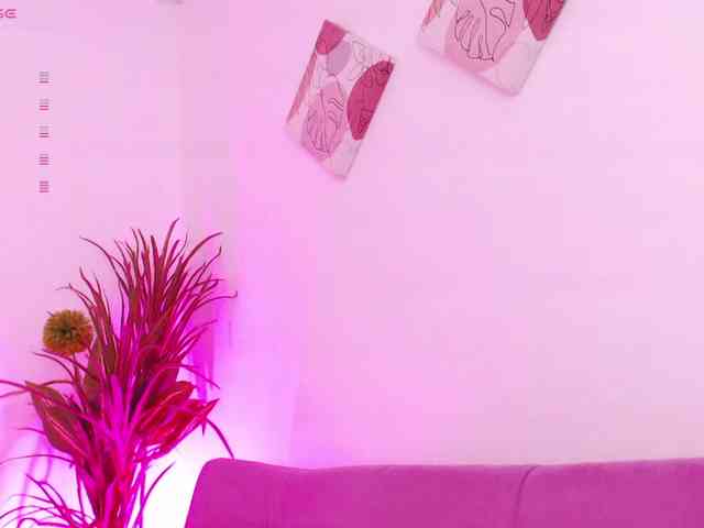Zaradavis webcam