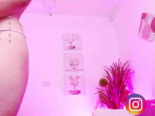 Zaradavis webcam