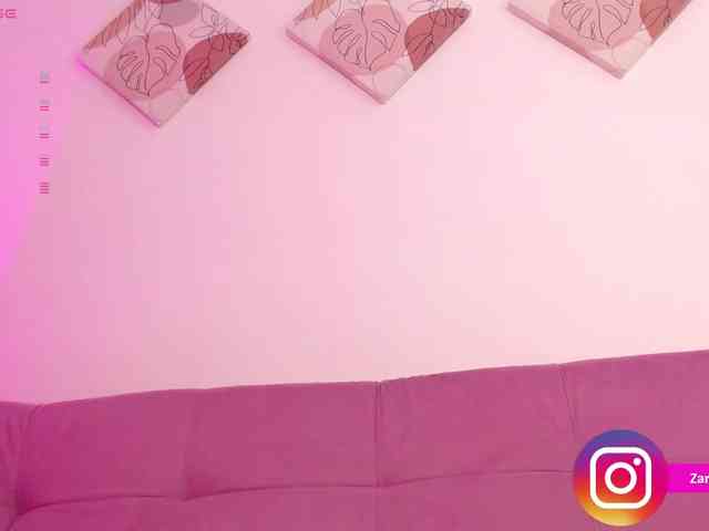 Zaradavis webcam