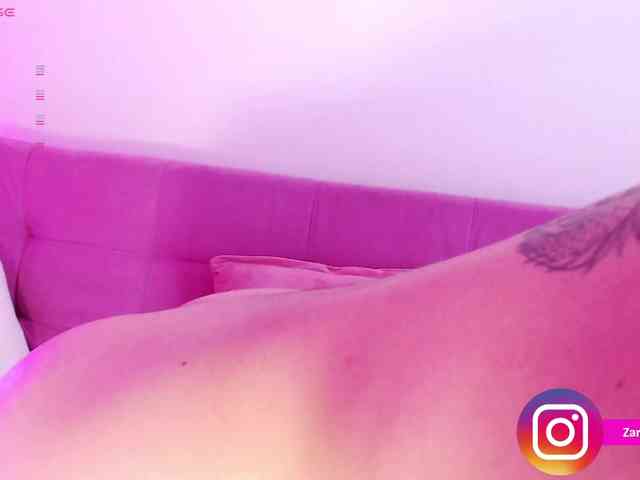 Zaradavis webcam