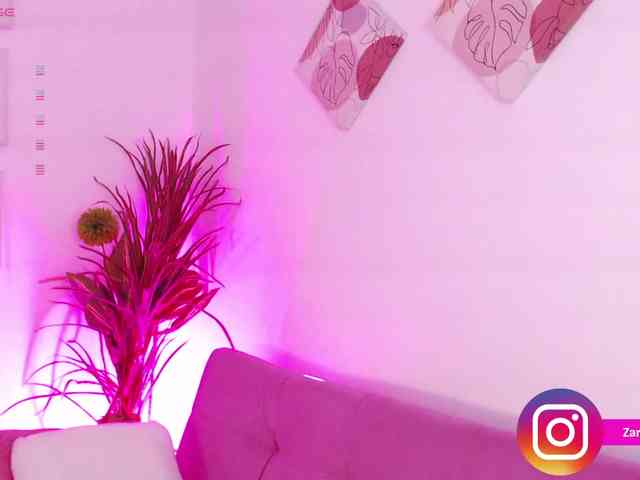 Zaradavis webcam