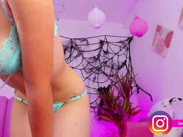 Zaradavis webcam