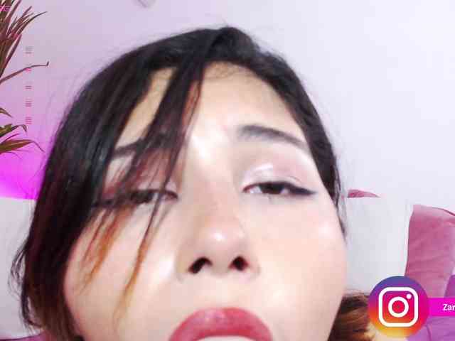Zaradavis webcam