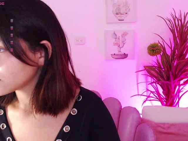 Zaradavis webcam