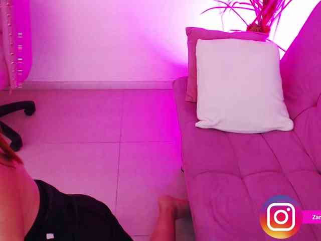 Zaradavis webcam