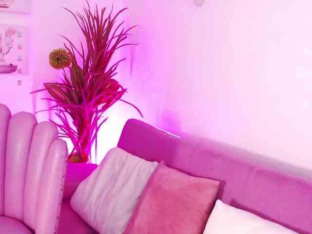 Zaradavis webcam