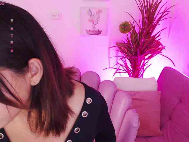 Zaradavis webcam