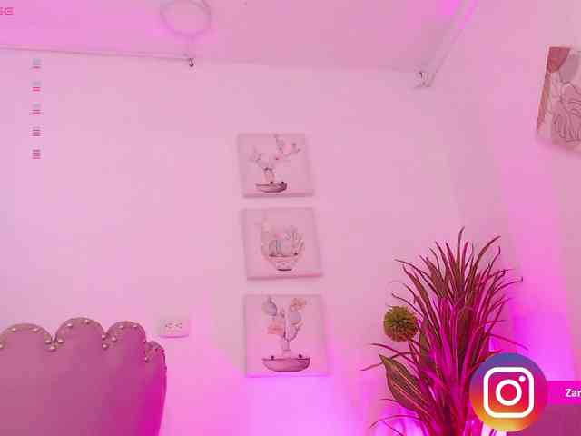 Zaradavis webcam