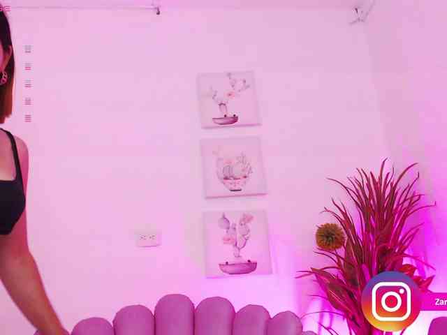 Zaradavis webcam
