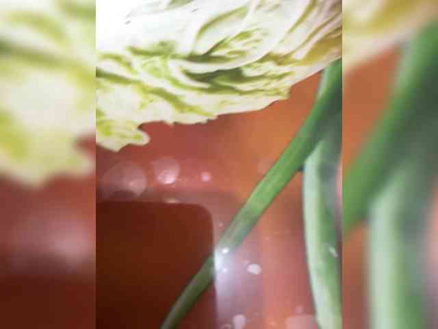 ULittleMouse webcam
