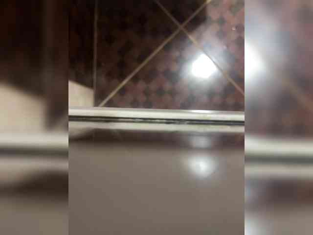 ULittleMouse webcam