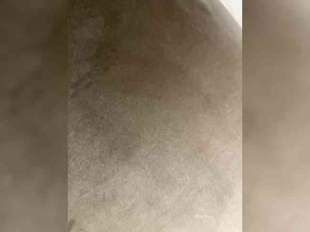 ULittleMouse webcam