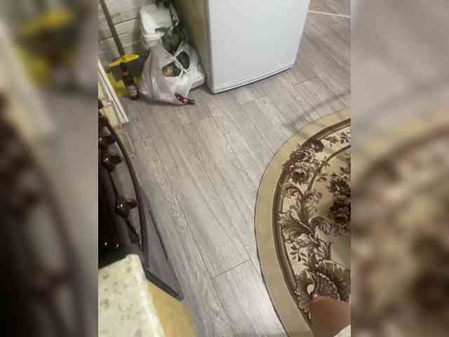 ULittleMouse webcam