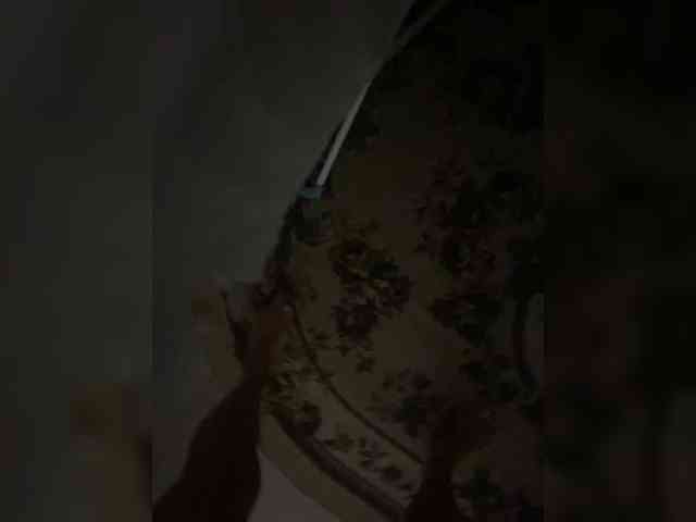 ULittleMouse webcam