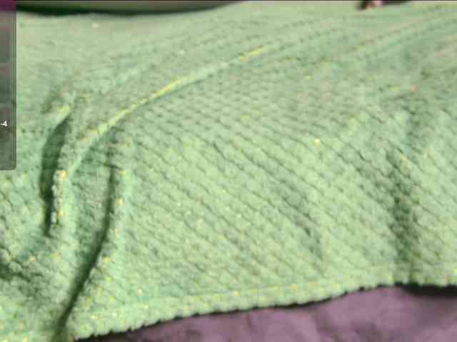 Monasteela Monasteela