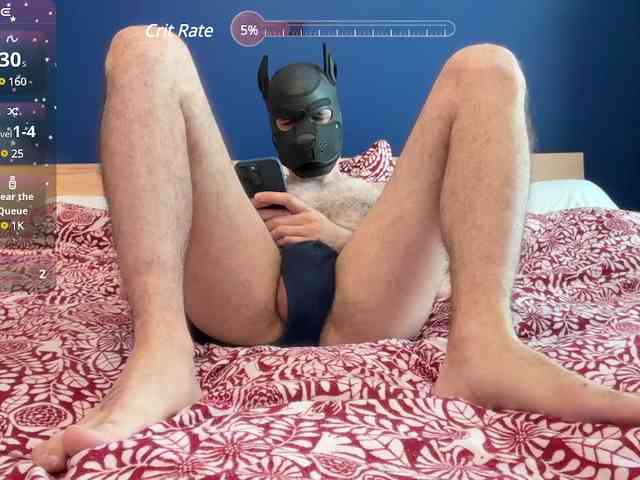 CamDog
