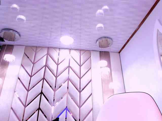Cherry-Vibe webcam