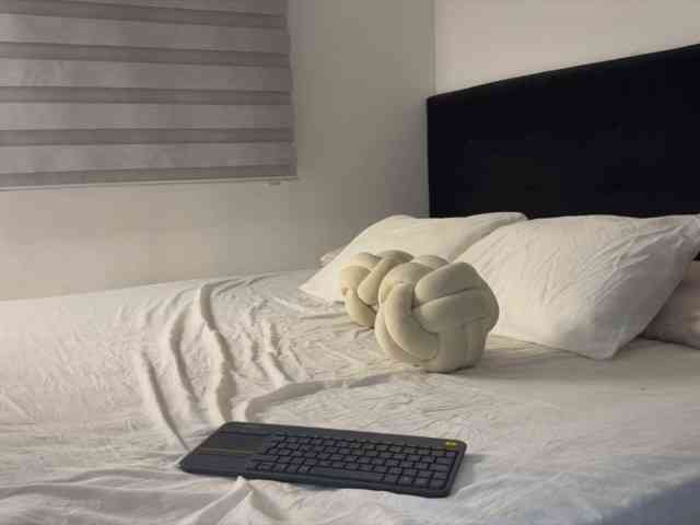 MiiaVega webcam
