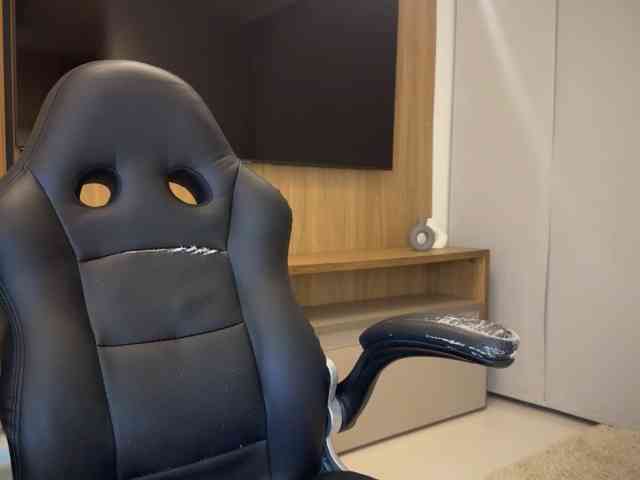MiiaVega webcam