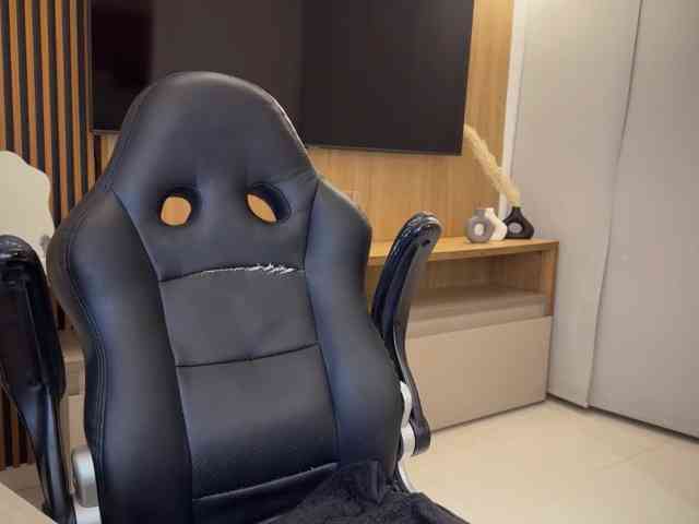 MiiaVega webcam