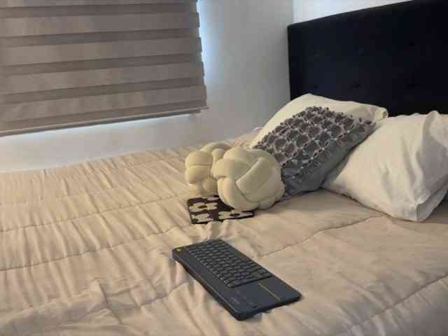 MiiaVega webcam