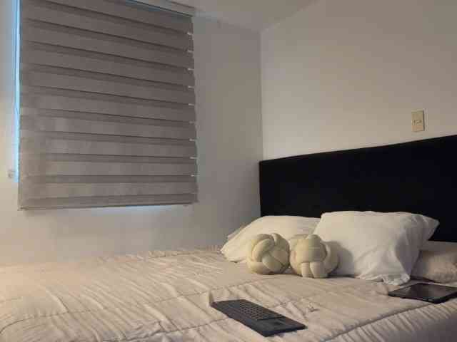MiiaVega webcam