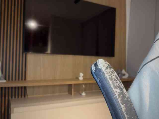 MiiaVega webcam
