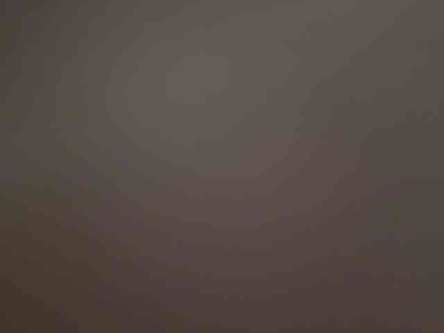 MiiaVega webcam