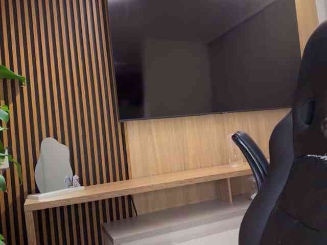MiiaVega webcam
