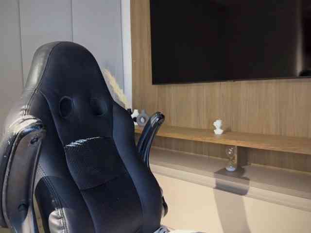 MiiaVega webcam