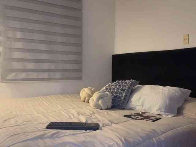 MiiaVega webcam