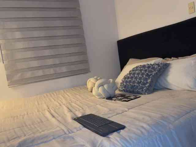 MiiaVega webcam