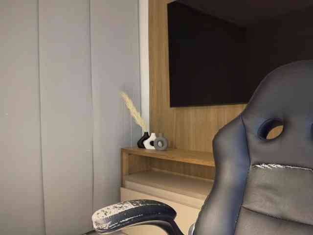 MiiaVega webcam