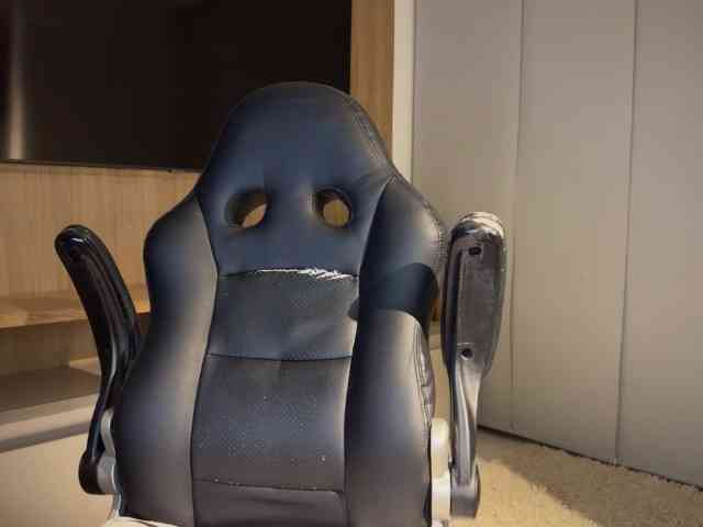 MiiaVega webcam