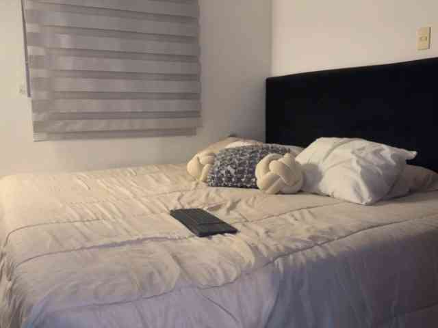 MiiaVega webcam