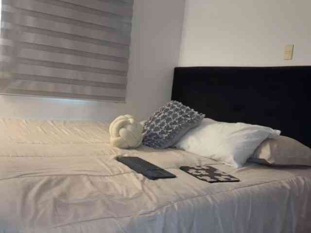 MiiaVega webcam