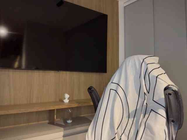 MiiaVega webcam