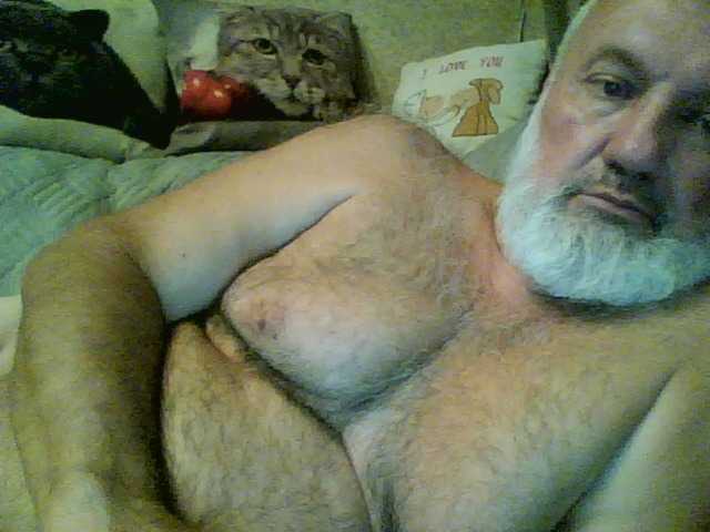 Romad70ramzes